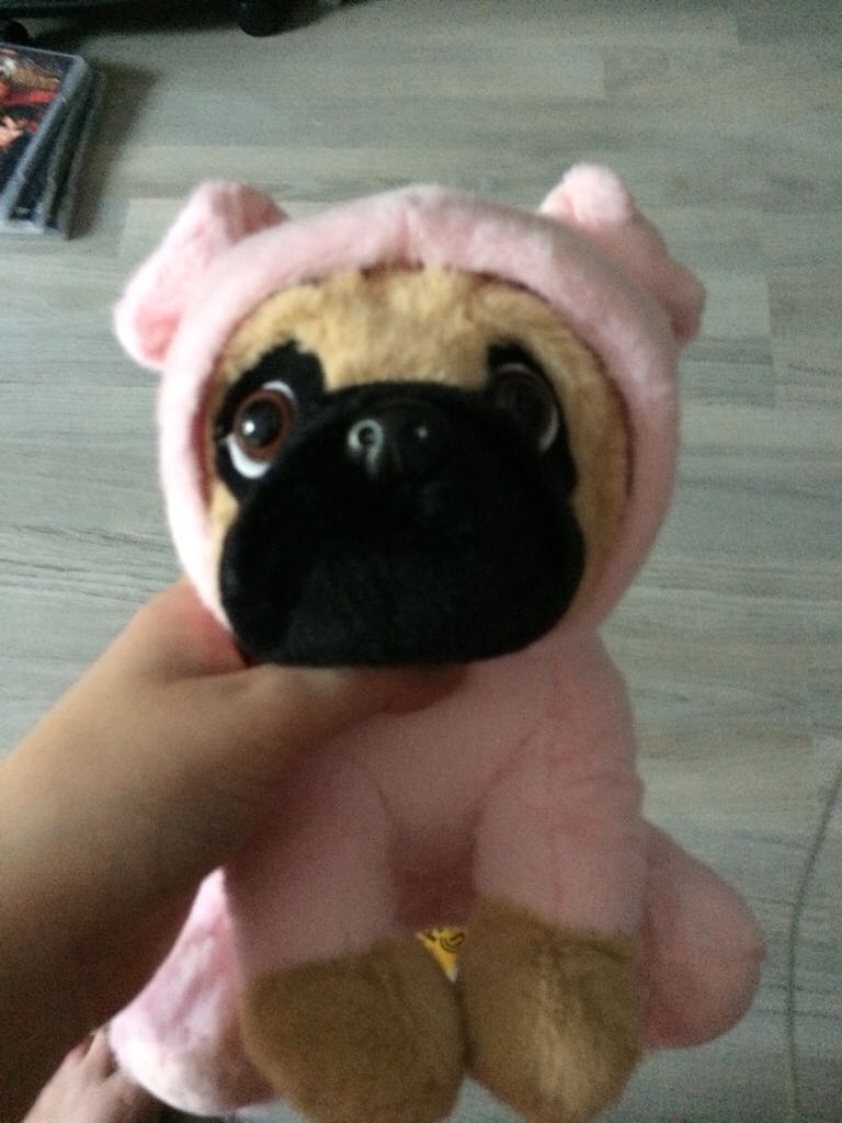 2006 Zodiac Dog The Dog