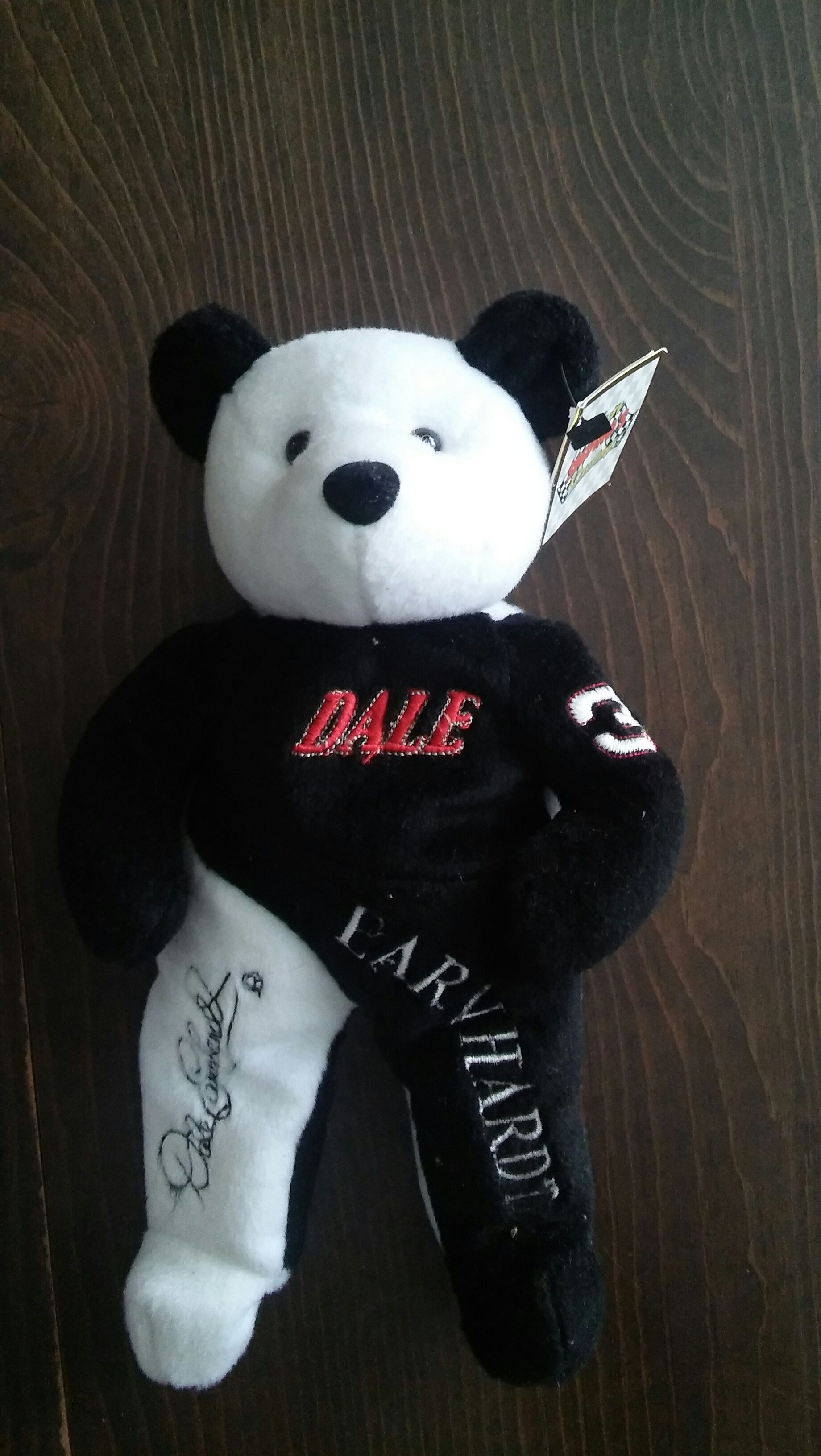 Summit The Snowy Owl