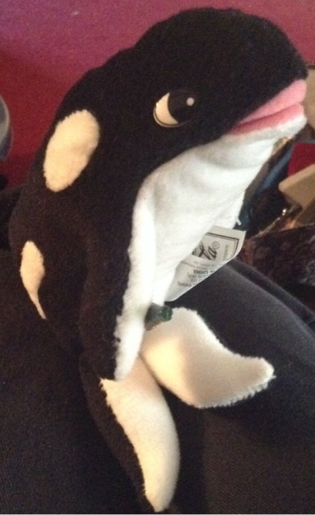 Hello Kitty Aqua Tartan