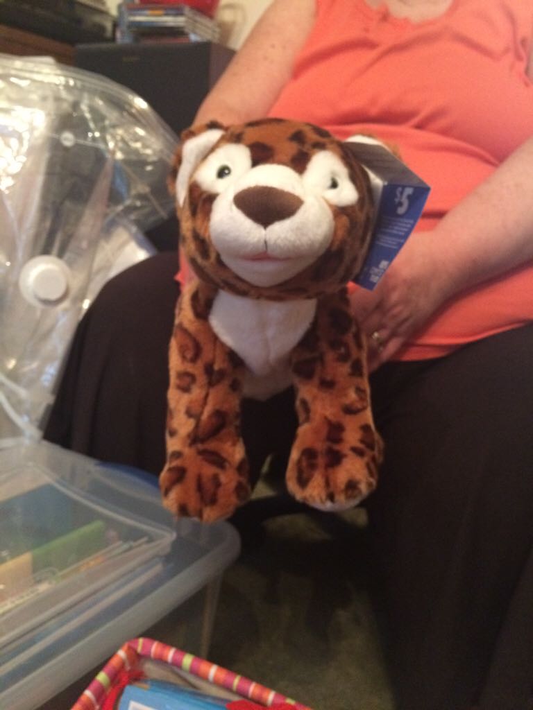 Hello Kitty, Pink (large) Beanie Buddy