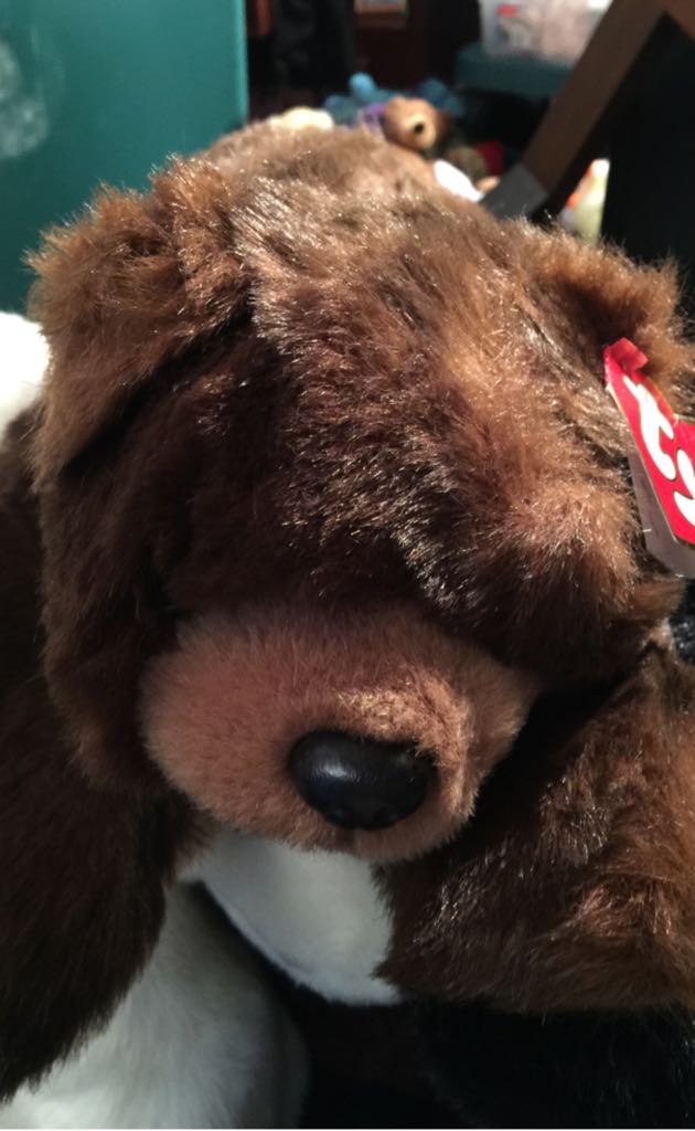 Paws -Mediun  plush collectible [Barcode 008421050246] - Main Image 1
