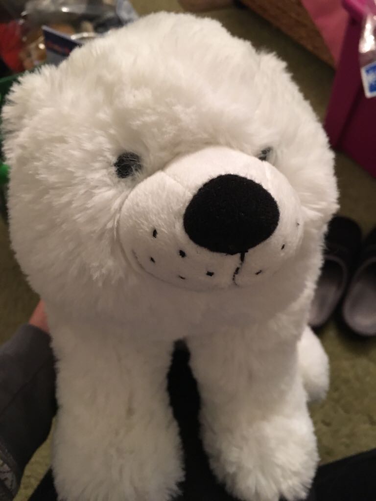 Georgia Cherokee Rose The Bear