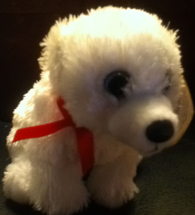 Cotton The Polar Bear  plush collectible [Barcode 996421351671] - Main Image 2