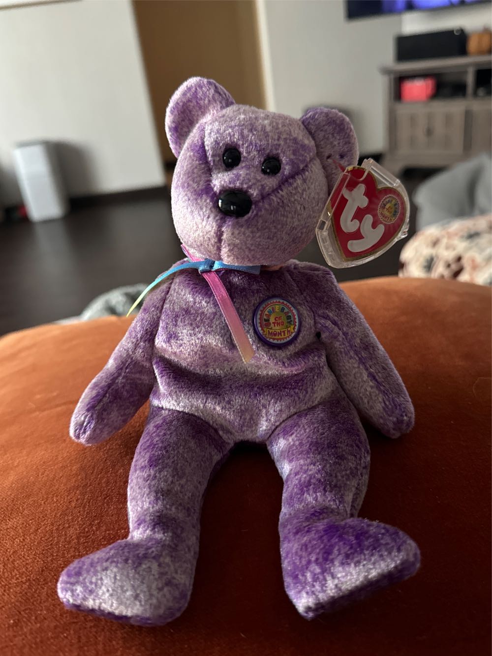 Dreamer the Bear BBOM  (United States) plush collectible - Main Image 3