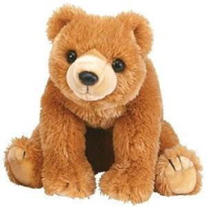 Robin Great Wolf Lodge