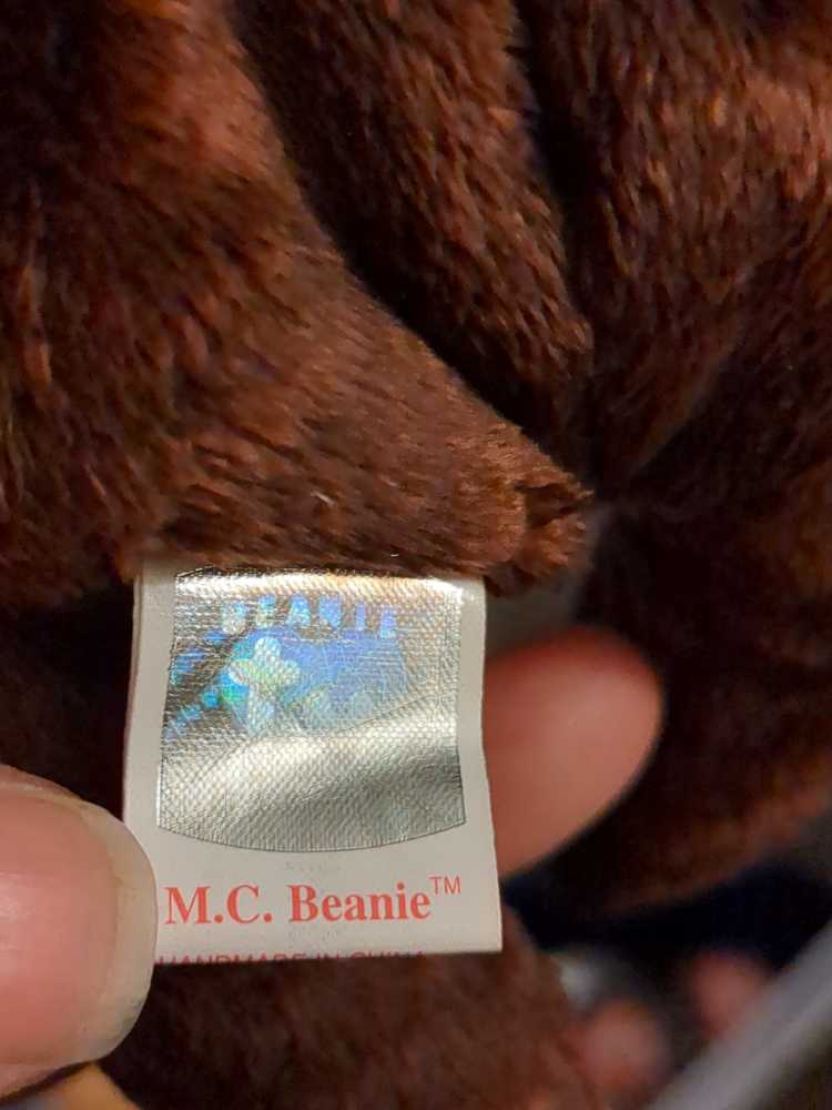 M.C. Beanie The Bear 🐻 . Black Nose L  plush collectible - Main Image 2