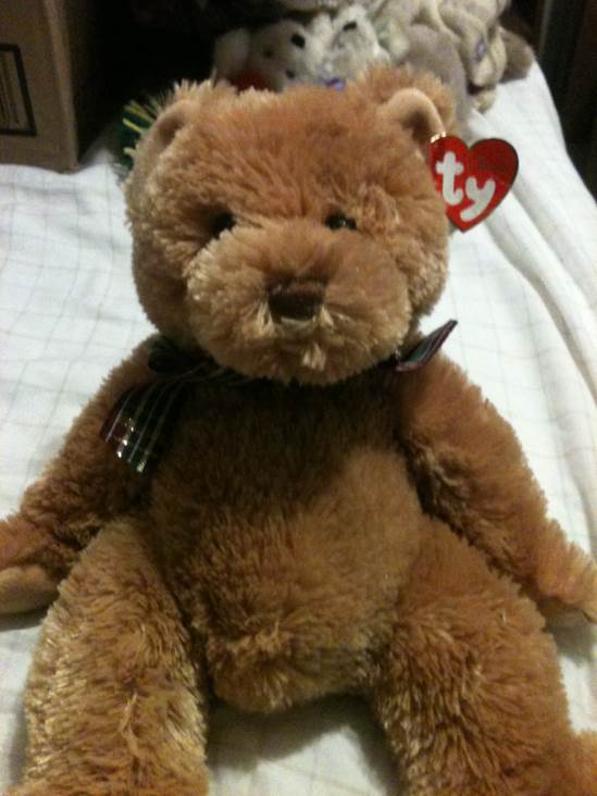 Color Me Beanie (Birthday Kit-DOG)