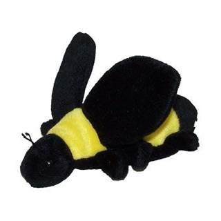 Issy The Bear Puerto Rico