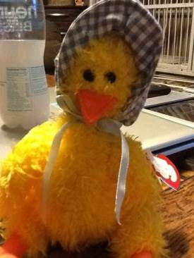 Hello Kitty Watermelon