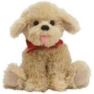 Patti the Platypus (Beanie Buddy)