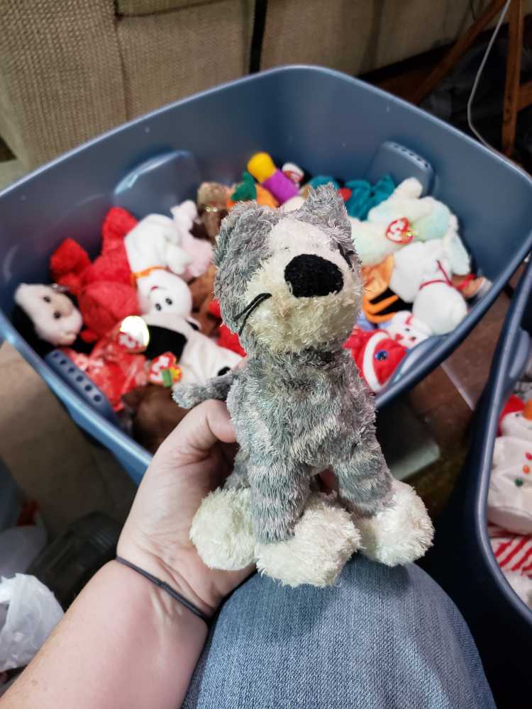 Catsby The Cat  plush collectible - Main Image 2