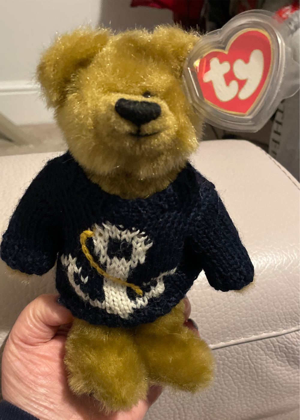 Salty The Bear 🐻  plush collectible [Barcode 008421060566] - Main Image 2