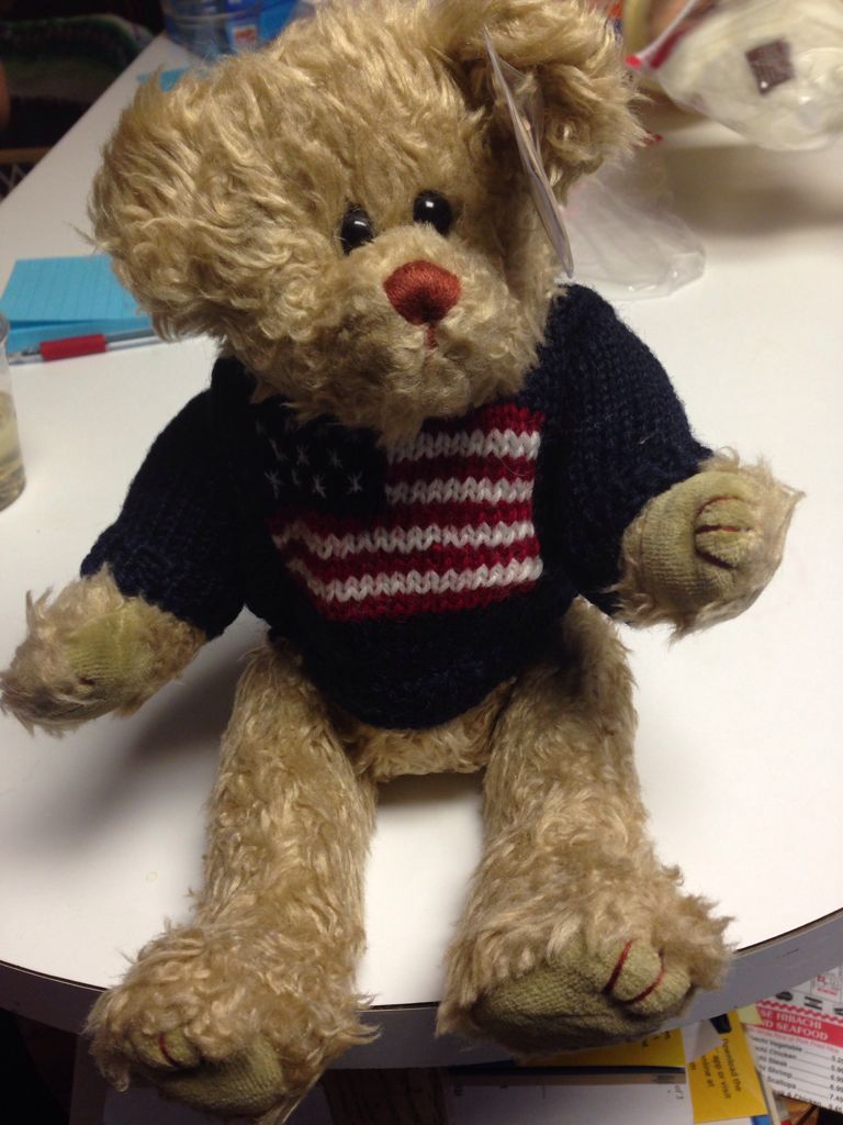 Parfum The poodle Dog (Buddy)