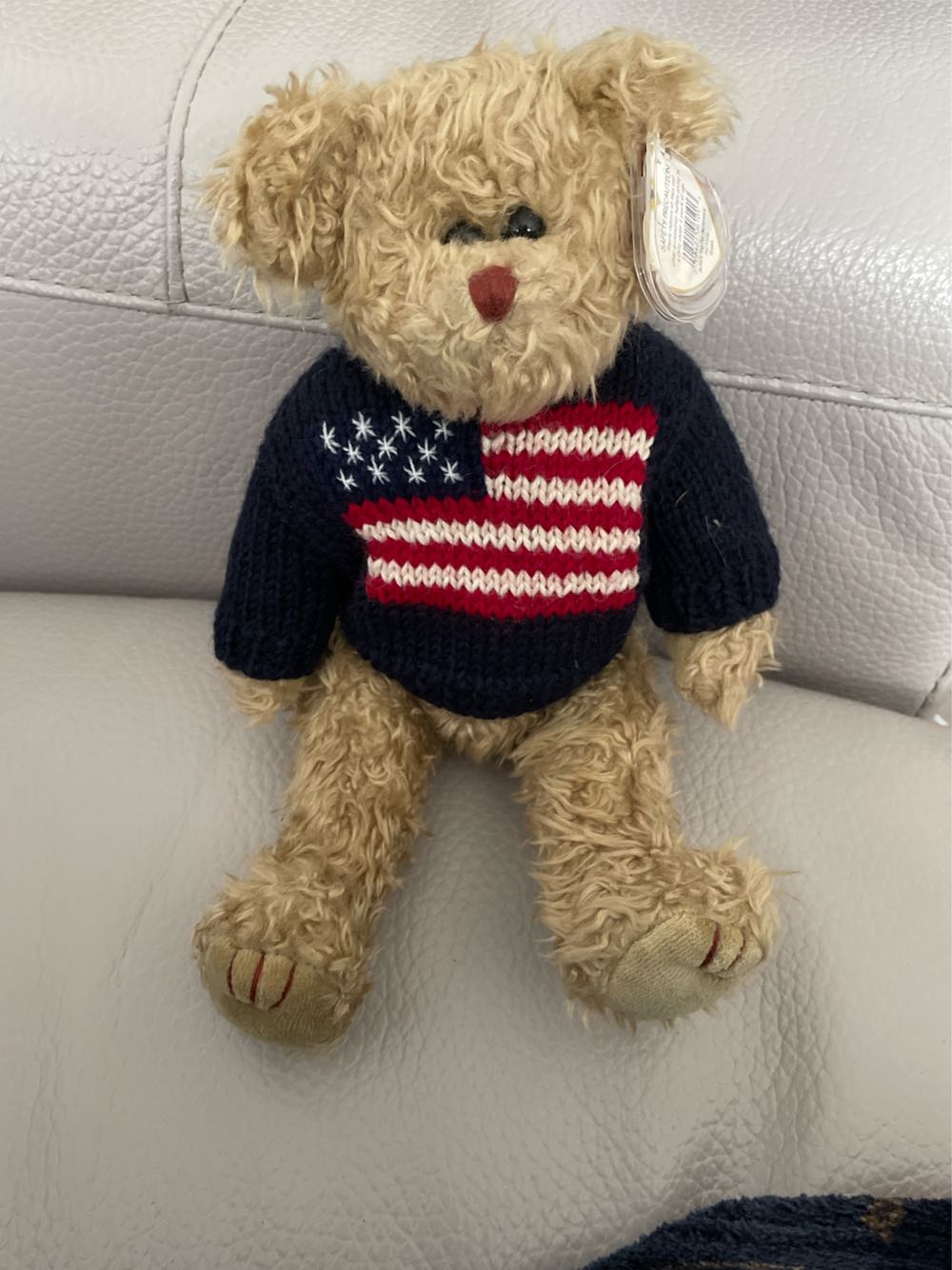 Grant The Bear  plush collectible [Barcode 008421061013] - Main Image 2