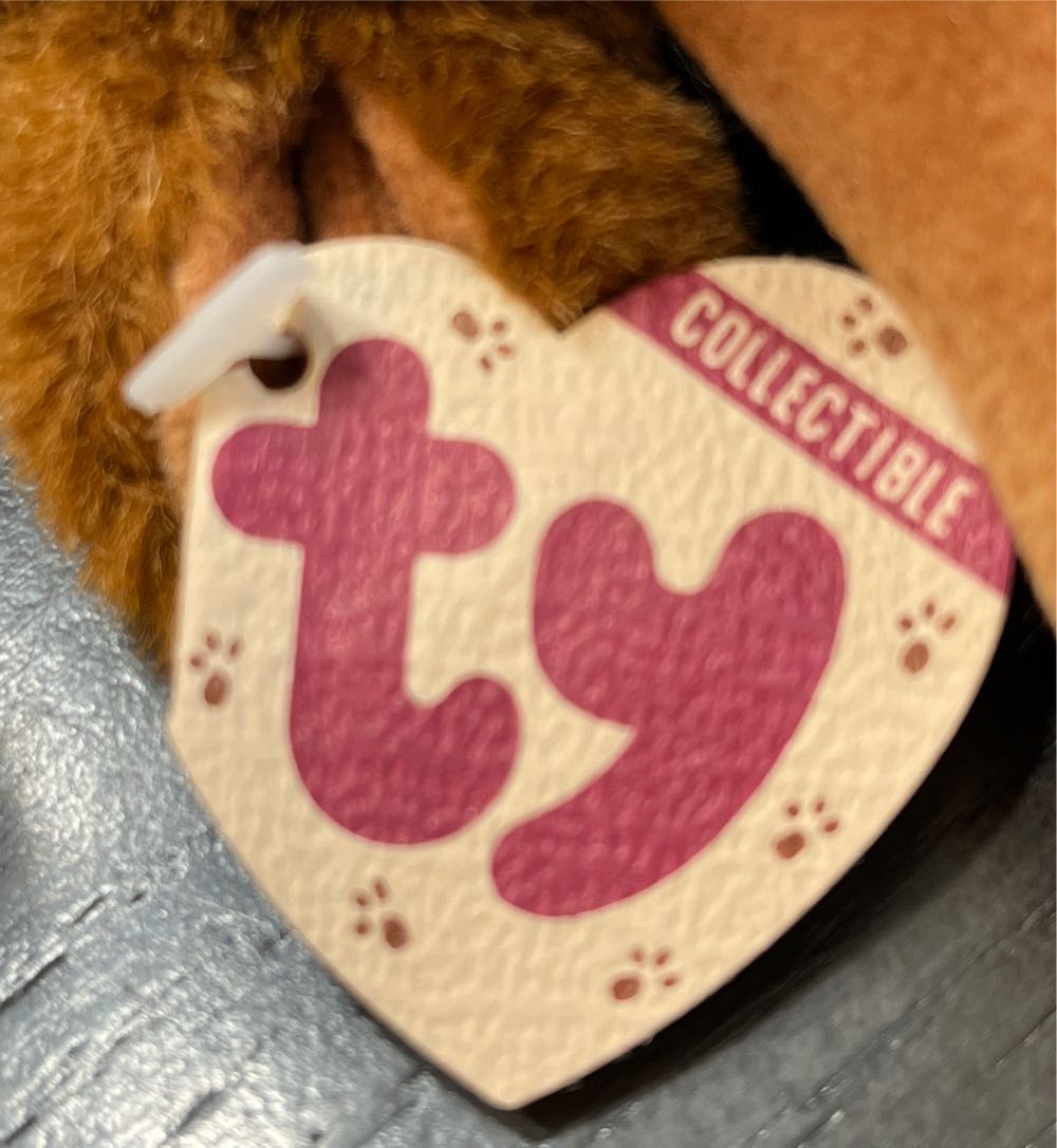 Montgomery Moose 🫎  plush collectible [Barcode 008421061433] - Main Image 2