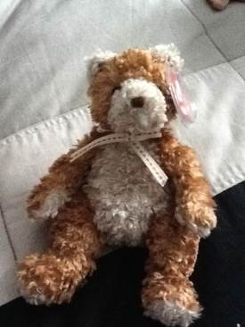 Dublin The Bear (Beanie Buddy)