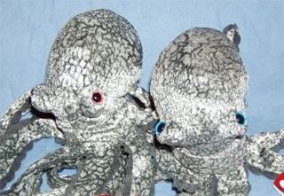 WWF Attitude Bears Stone Cold Steve Austin