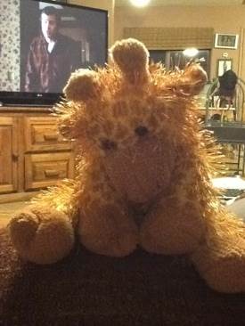 Minnesota - Symbols Bear