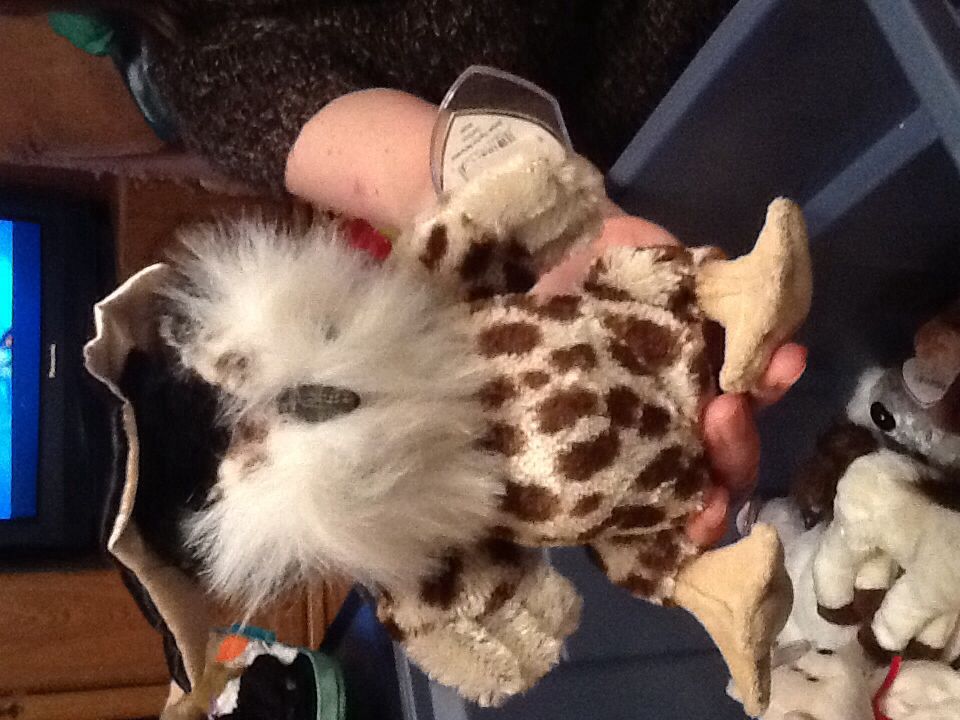 Socrates The Owl  plush collectible [Barcode 008421062690] - Main Image 1