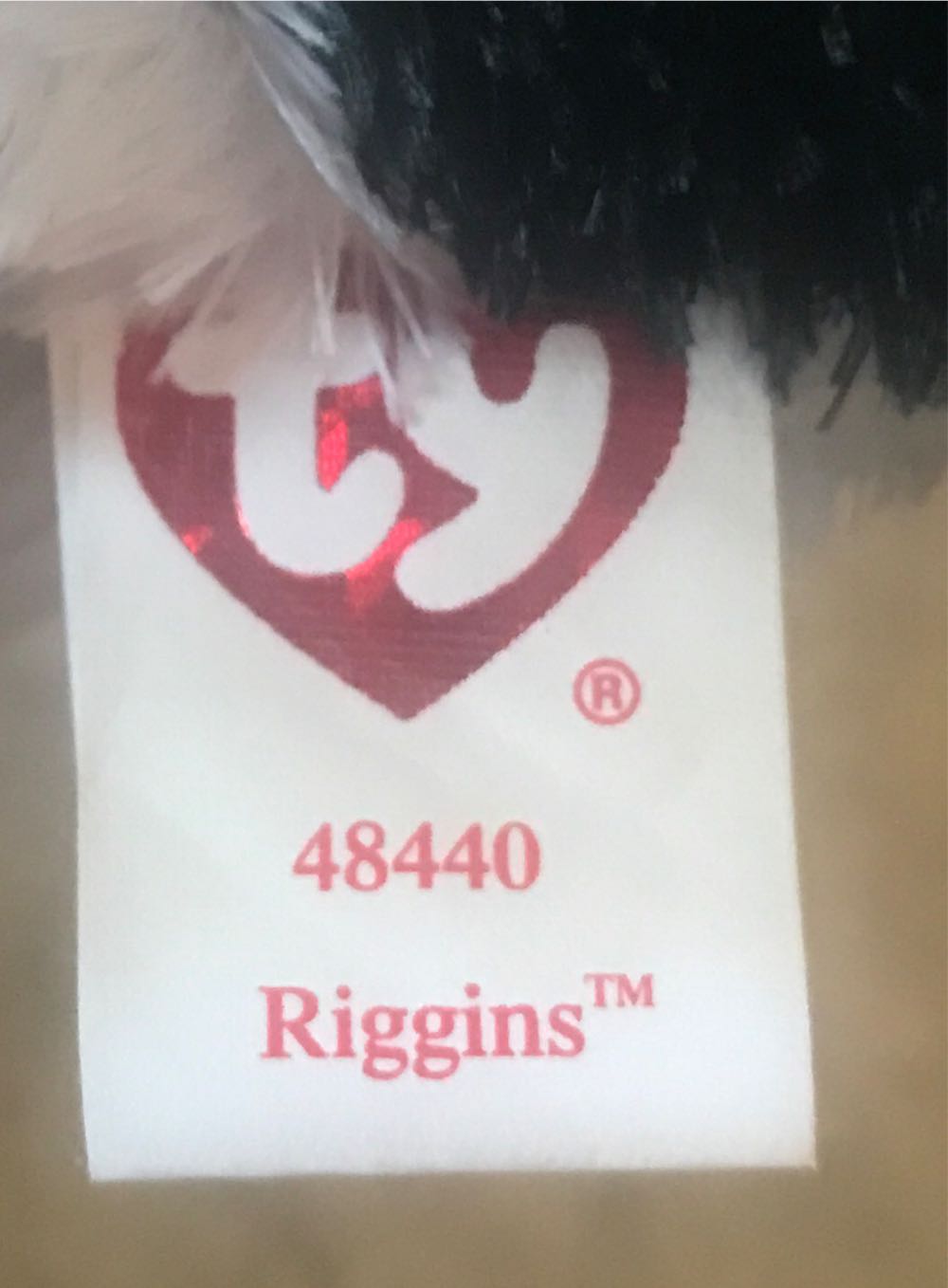 Riggins The Dog  plush collectible - Main Image 4