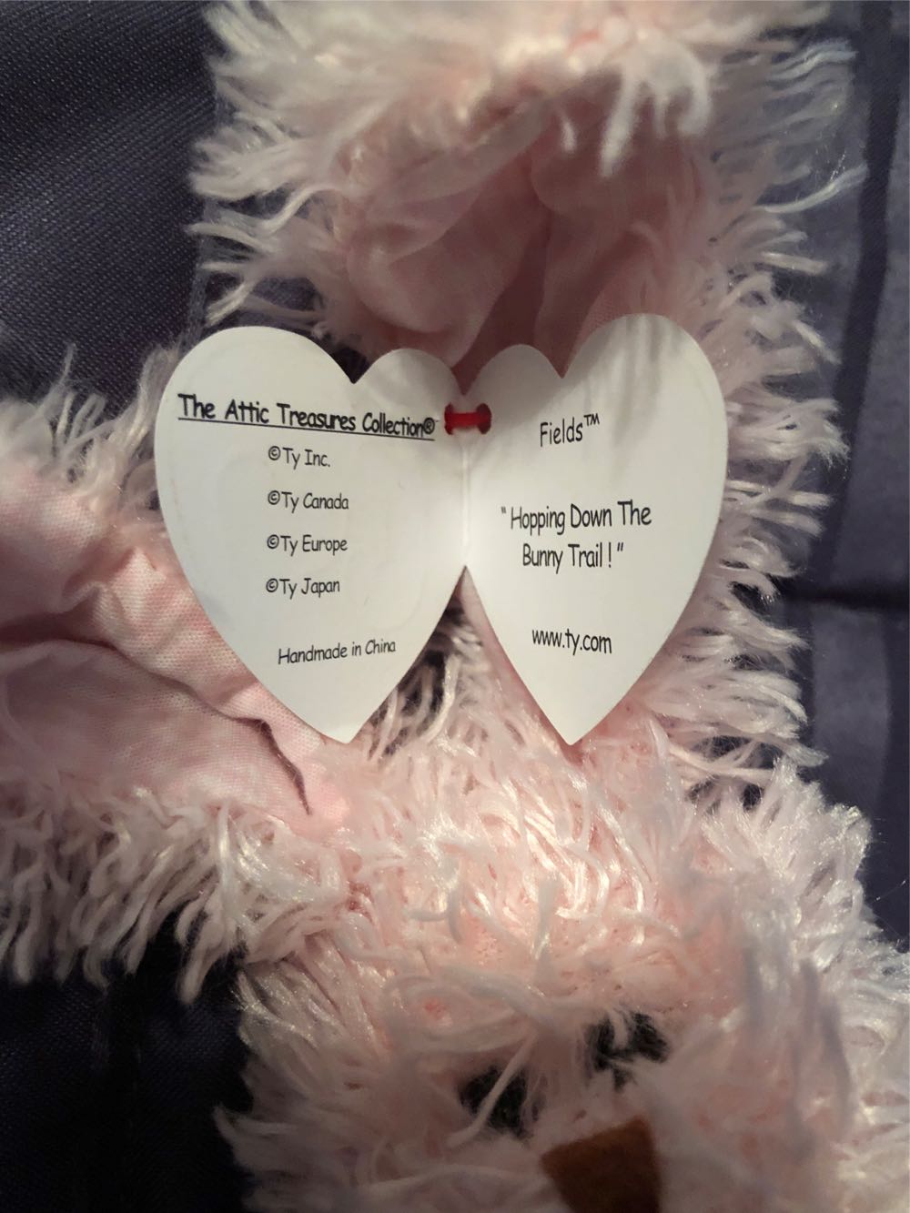 Fields The Bunny  plush collectible [Barcode 008421062928] - Main Image 4