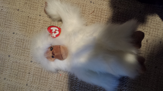 Tango The Monkey  plush collectible [Barcode 008421070008] - Main Image 1