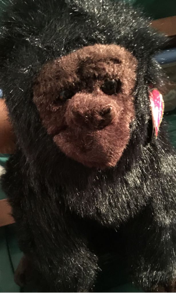 Aussie the Koala 2.0