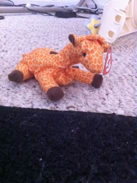 Twilight The Bear (Halloweenie)