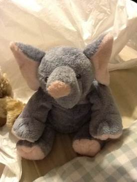 Dougal Bear - Summer