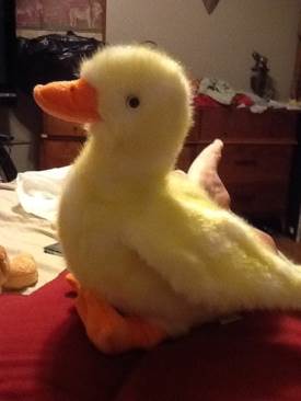 Aurora the Ice Princess Bear