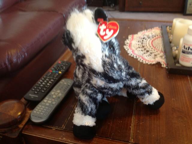 .BOOS Diva The Dog (Clip)