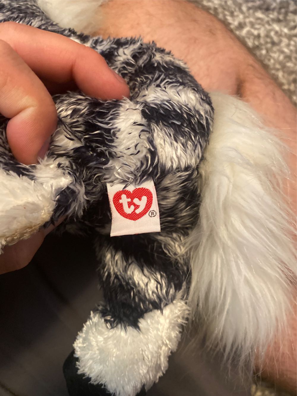 Kivu The Zebra Buddy TY  (United States) plush collectible [Barcode 008421074389] - Main Image 4