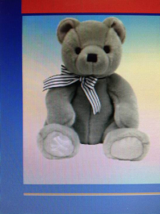 Team Salvino’s Racing Dale Earnhardt Sr