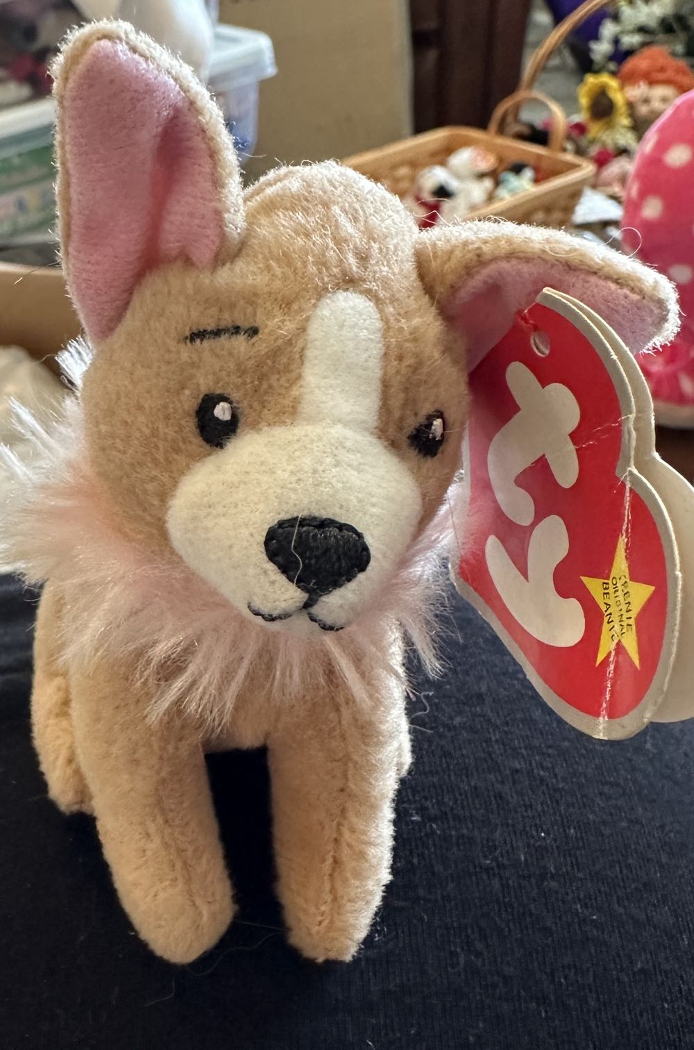 Pico the Chihuahua 2009 McDonald’s   plush collectible - Main Image 2