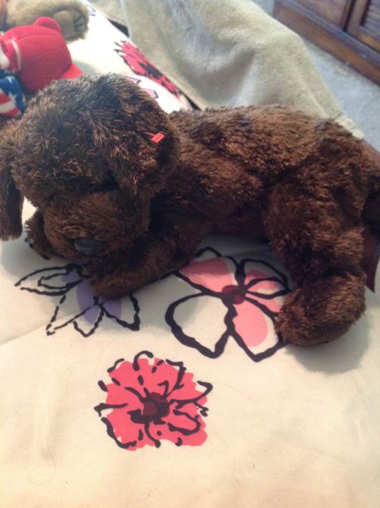 Secretariot The Horse (Exclusive)