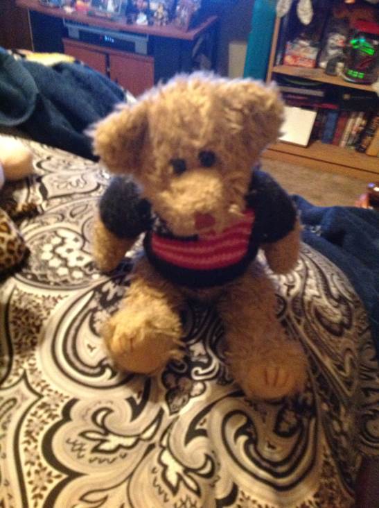 Teddy with American Flag Sweater  plush collectible - Main Image 2