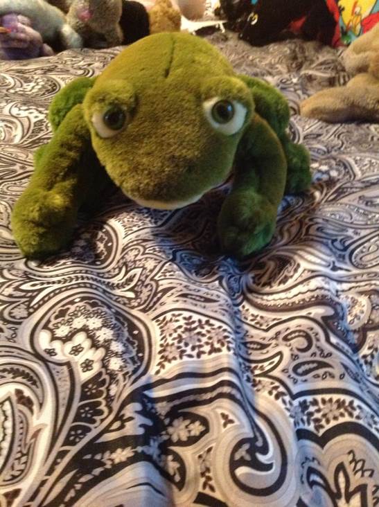 Celebration (teenie Beanie)