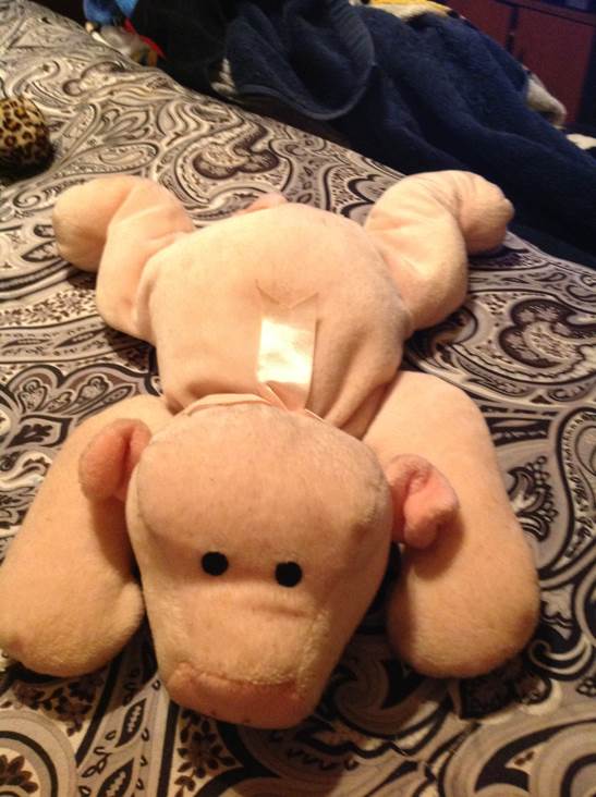 Cutsiemoosie the Moose Ty Pillow Pal