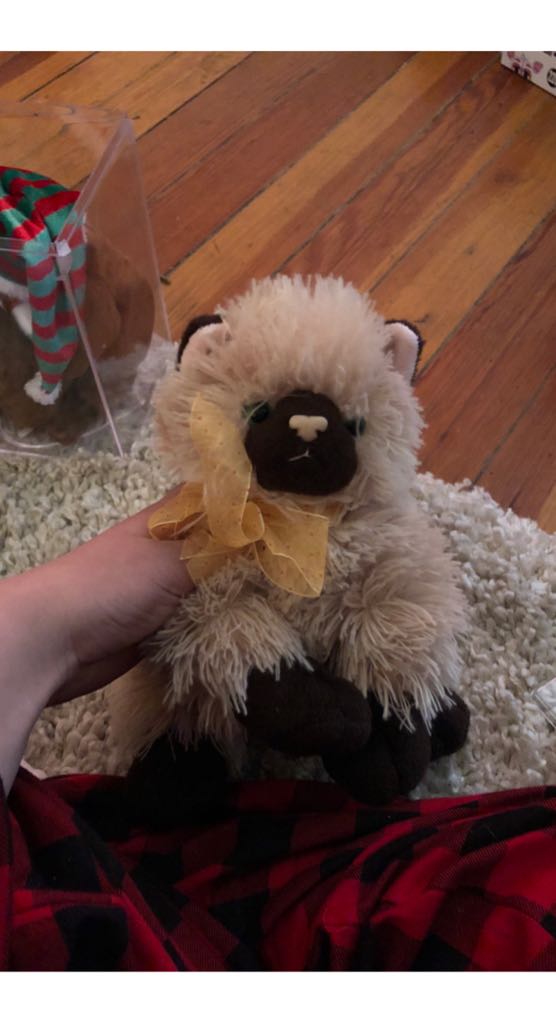 Biggest Strongest Fastest 