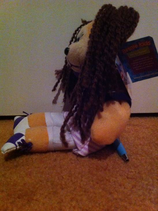 Lauren The Summer Holiday Bear  plush collectible - Main Image 2