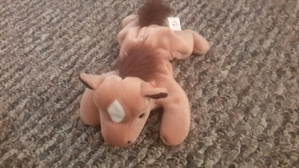 Tangerine the Bear (Plush) Buddy