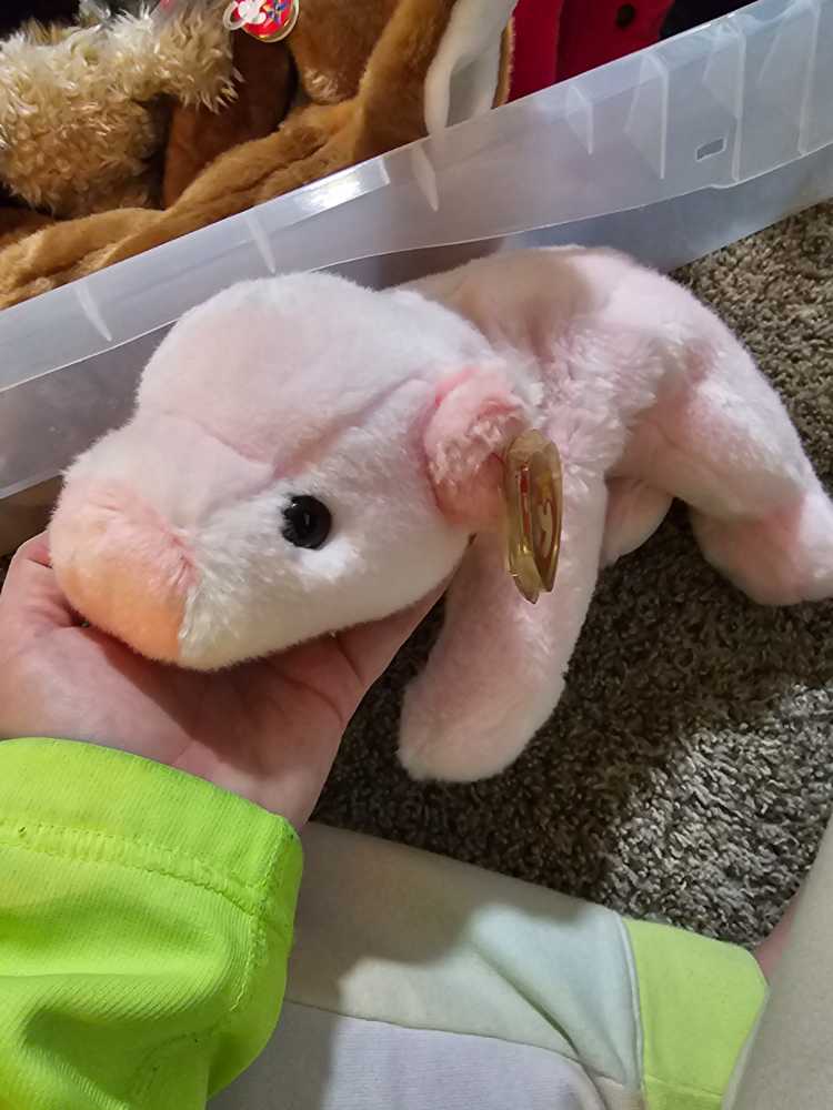 SQUEALER the Pig  plush collectible [Barcode 008421093137] - Main Image 3