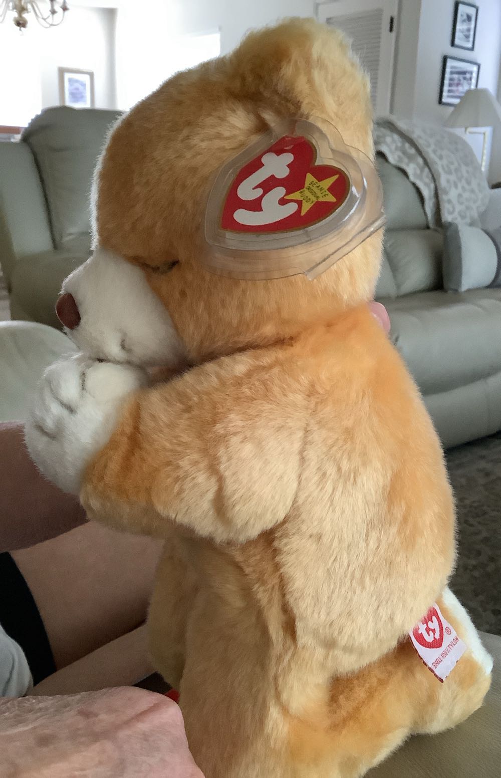 Hope (Buddy)  (United States) plush collectible [Barcode 008421093274] - Main Image 2