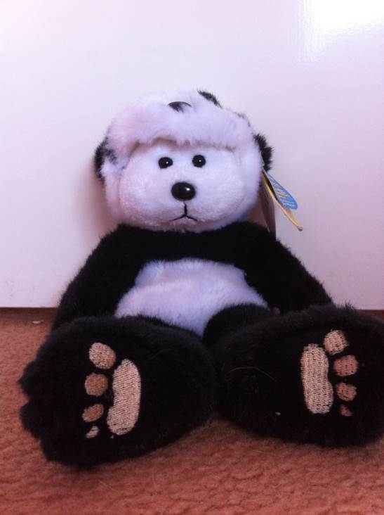 Philadelphia The Bear