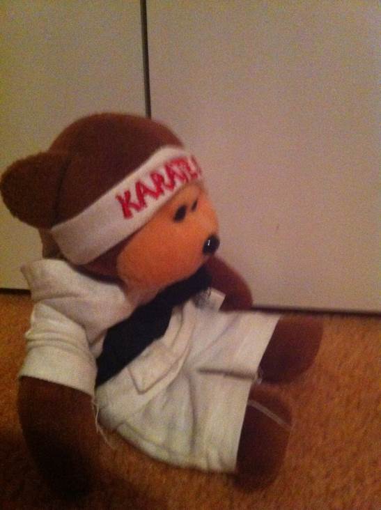 Kix The Karte Bear  plush collectible - Main Image 2