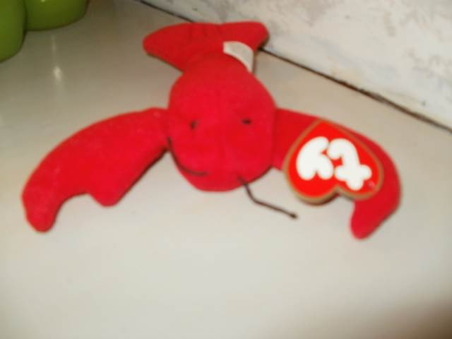 Carnation the Cat Buddy