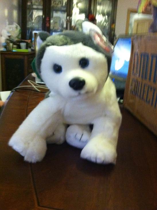 Nanook the Beanie Buddy  (United States) plush collectible [Barcode 008421093502] - Main Image 2