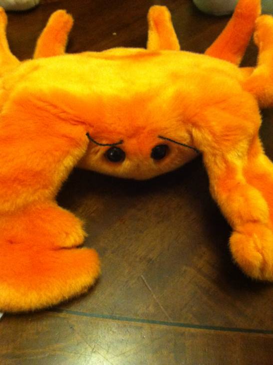 Digger the Beanie Buddy  (United States) plush collectible [Barcode 008421093519] - Main Image 2