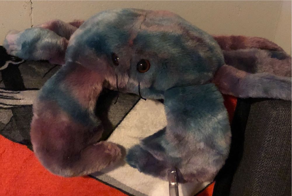 Digger the Beanie Buddy  (United States) plush collectible [Barcode 008421093519] - Main Image 4