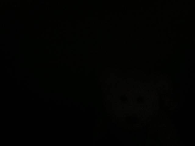 2007 Holiday Teddy - Green